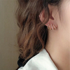 Boucles d'oreilles élégantes (1+1)