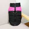 manteau d'hiver pour chien - Dog Savant