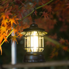Ladseni Portable Retro Smart Lamp