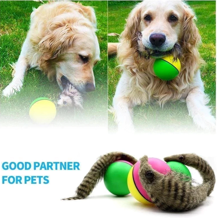 PlayBall - Jouets électroniques interactifs pour animaux
