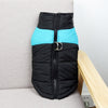 manteau d'hiver pour chien - Bleu / L - Dog Savant