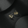 Boucles d'oreilles élégantes (1+1)