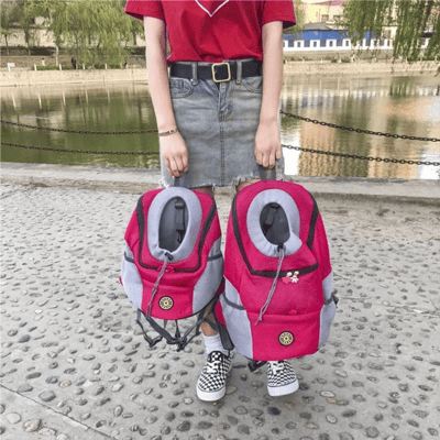 Sac à dos FurBag pour chien d'été