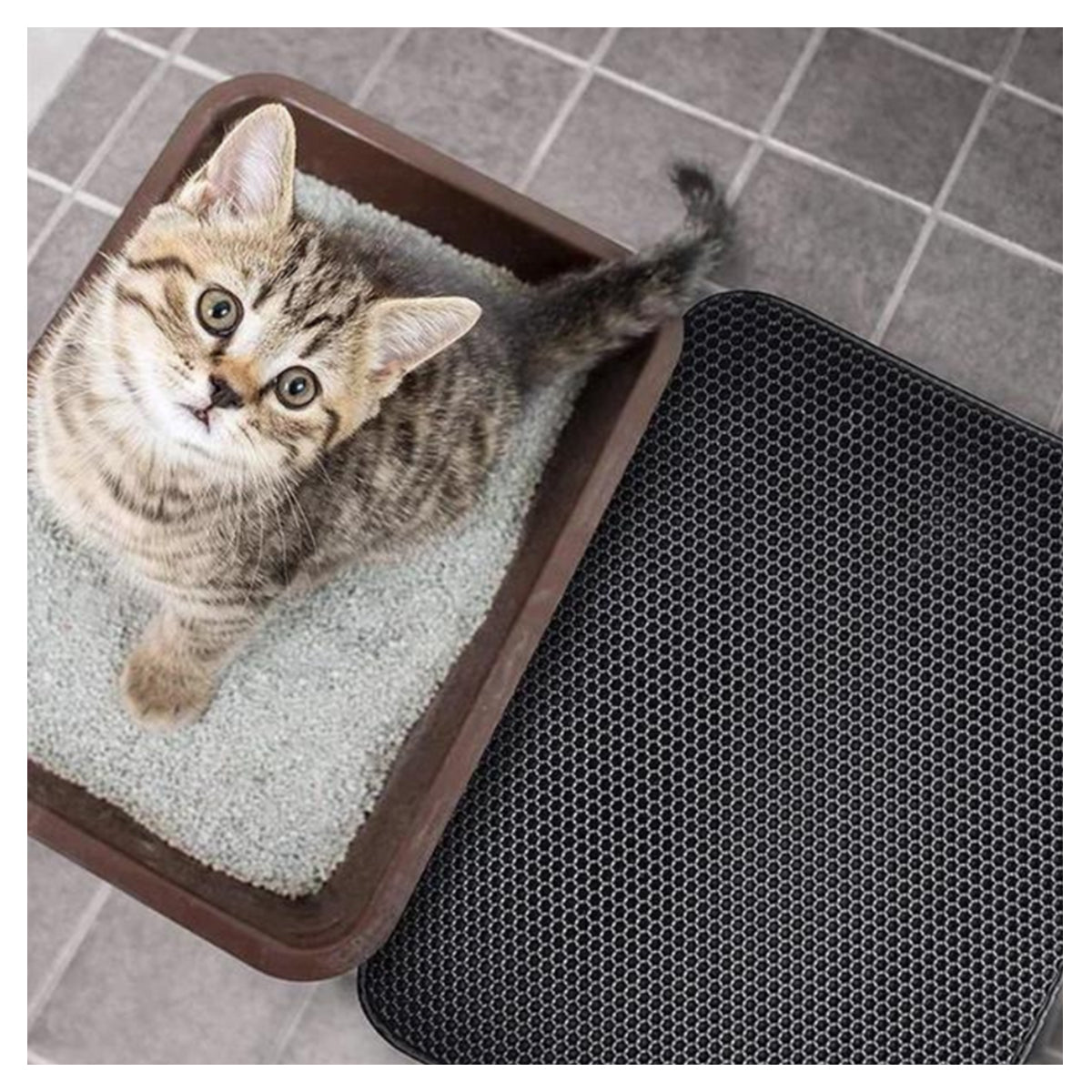 Sarada Sammenlegbar Mat pour Kattesand