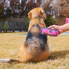 PupGroomer Brosse pour sous-poil et pelage