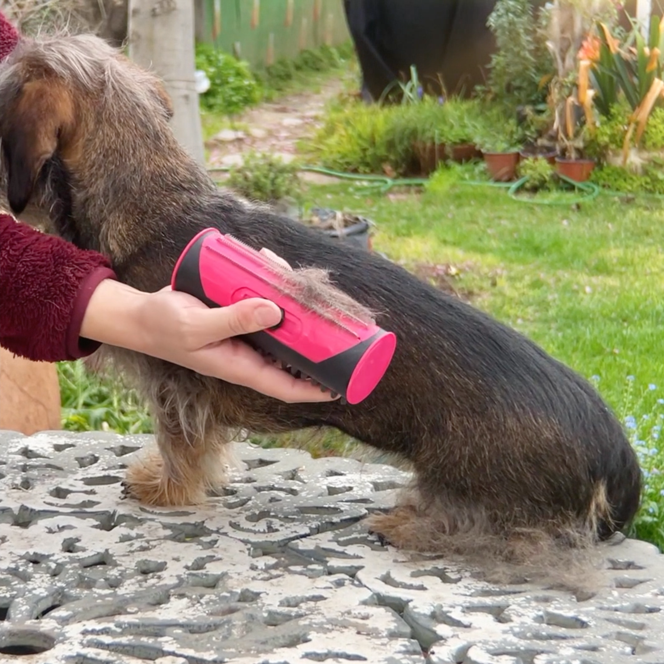 PupGroomer Brosse pour sous-poil et pelage