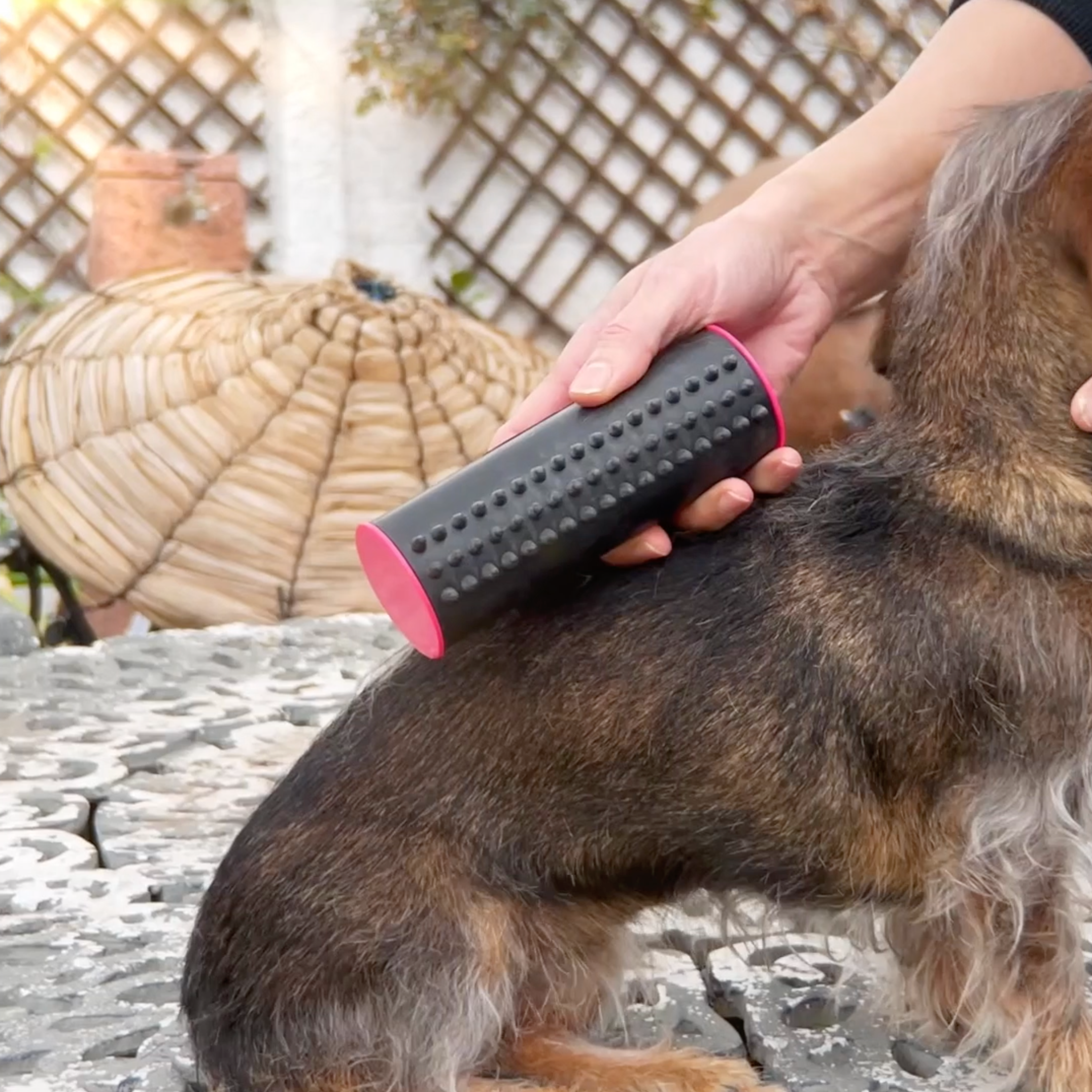 PupGroomer Brosse pour sous-poil et pelage