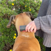 PupGroomer Brosse pour sous-poil et pelage