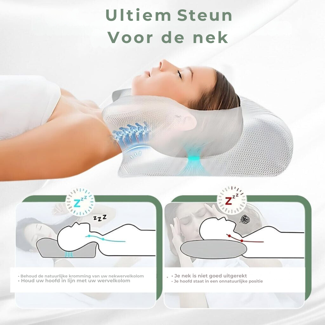 Oreiller de Soutien Cervical Confortle
