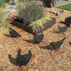 Décoration minimaliste du jardin des poules