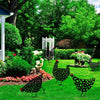 Décoration minimaliste du jardin des poules
