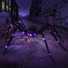 Décoration d'Halloween effrayante Spidey Goliath LED Spider