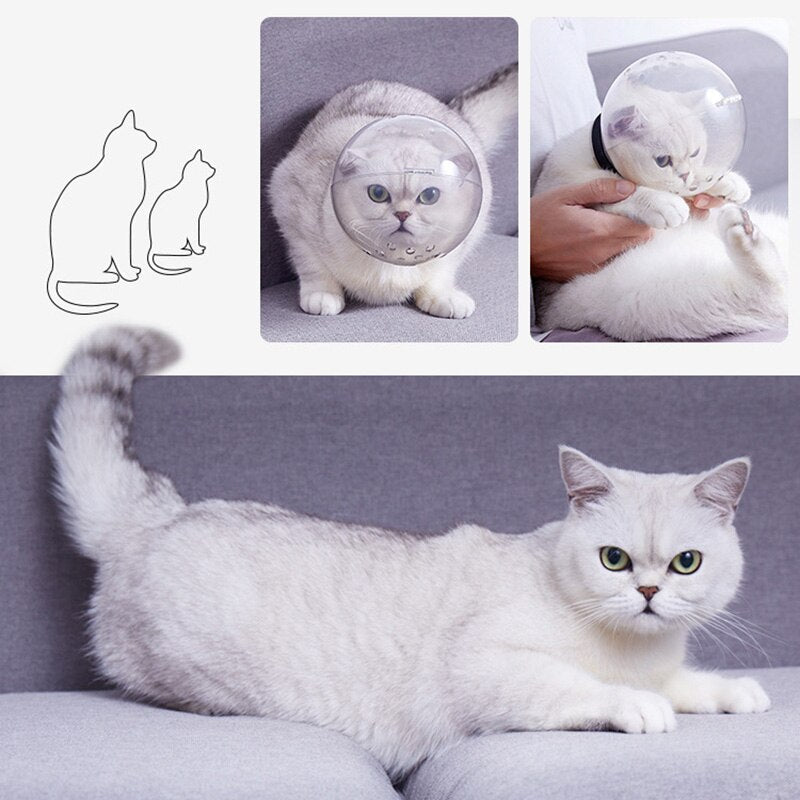 Masque anti-morsure Astro