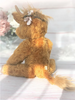 Fleurs Highland Cute Cow 